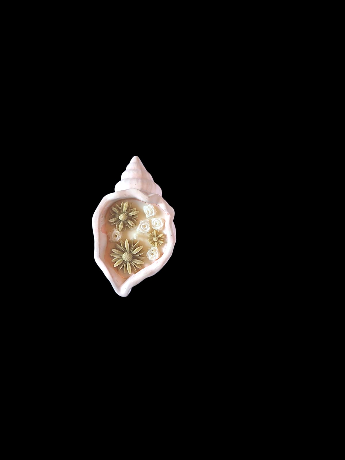 Seashell serenity candle