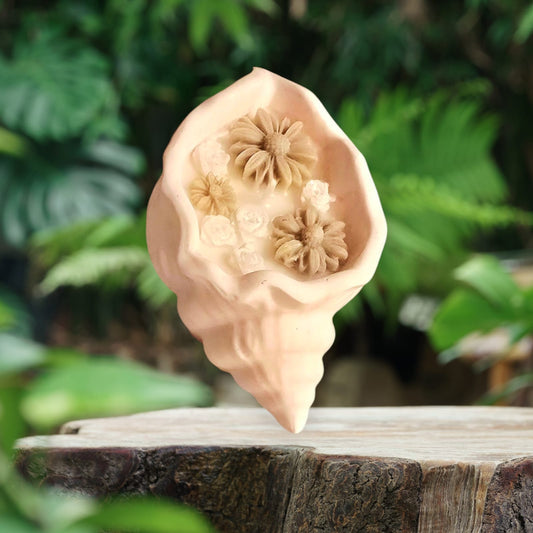 Seashell serenity candle
