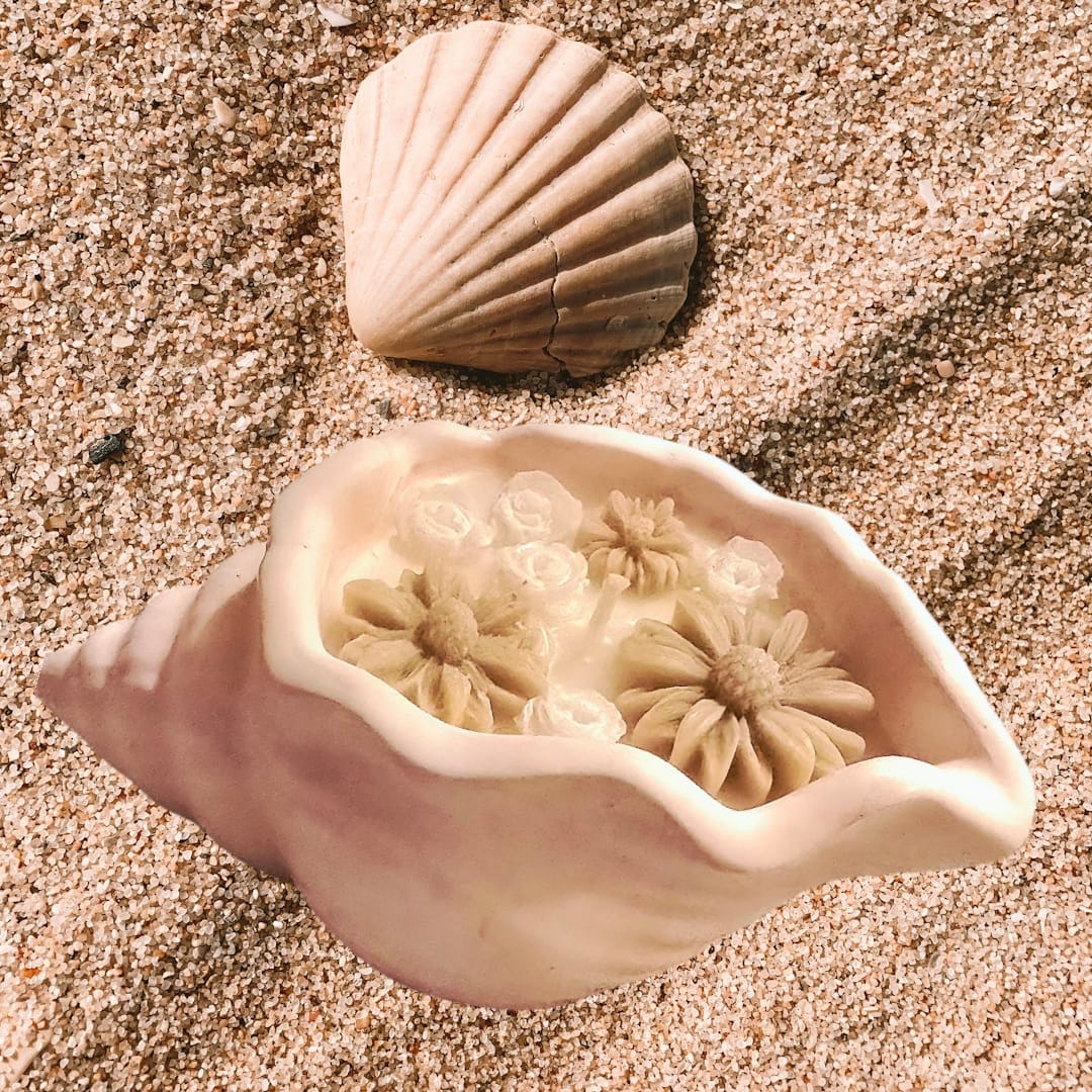 Seashell serenity candle