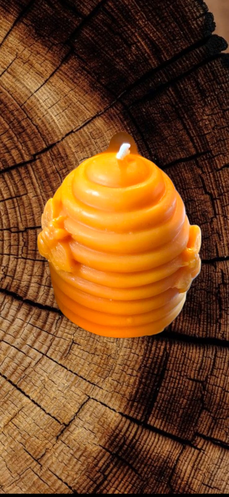 Honey bee 🐝 candle