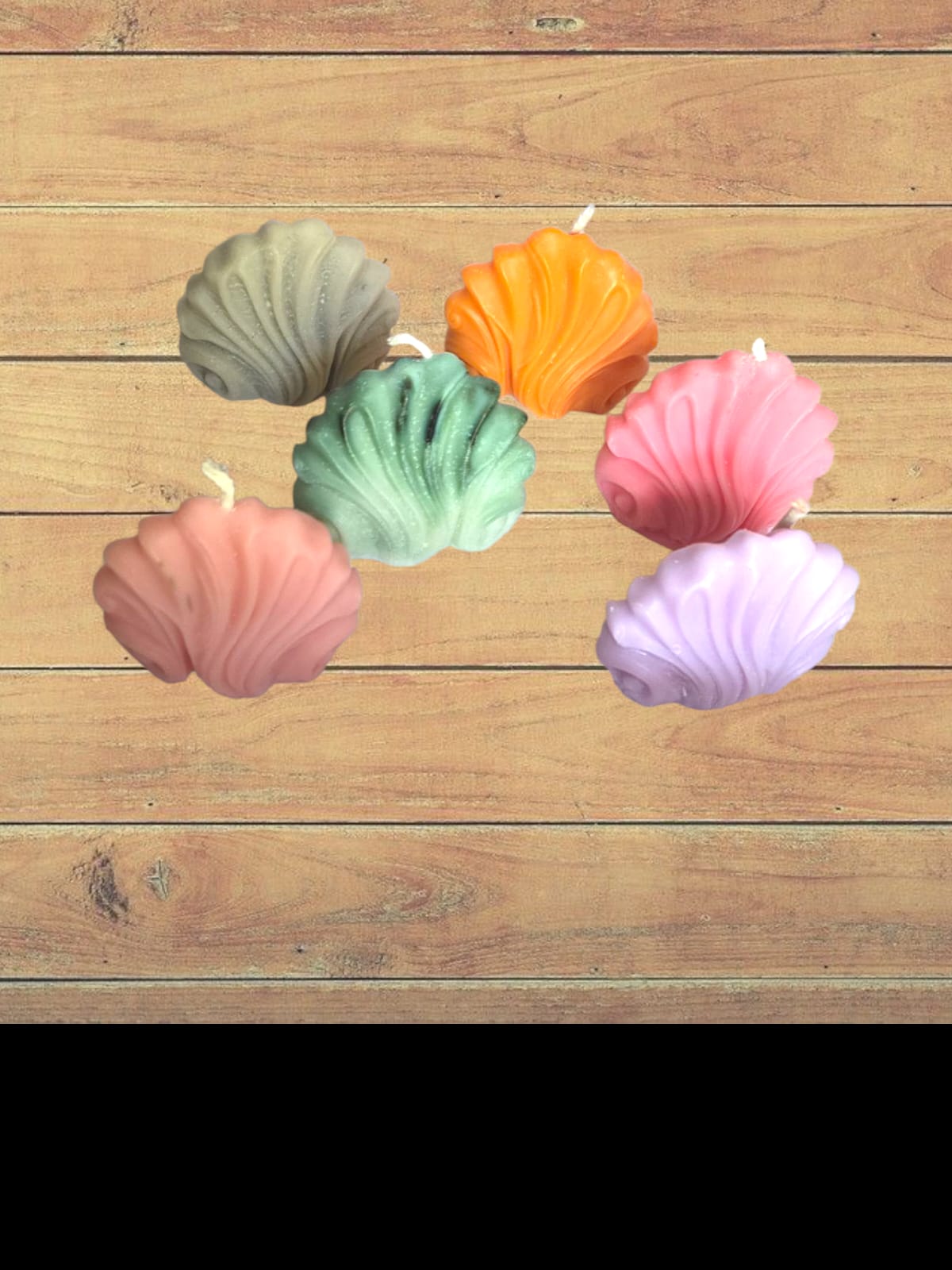 Little shell candle