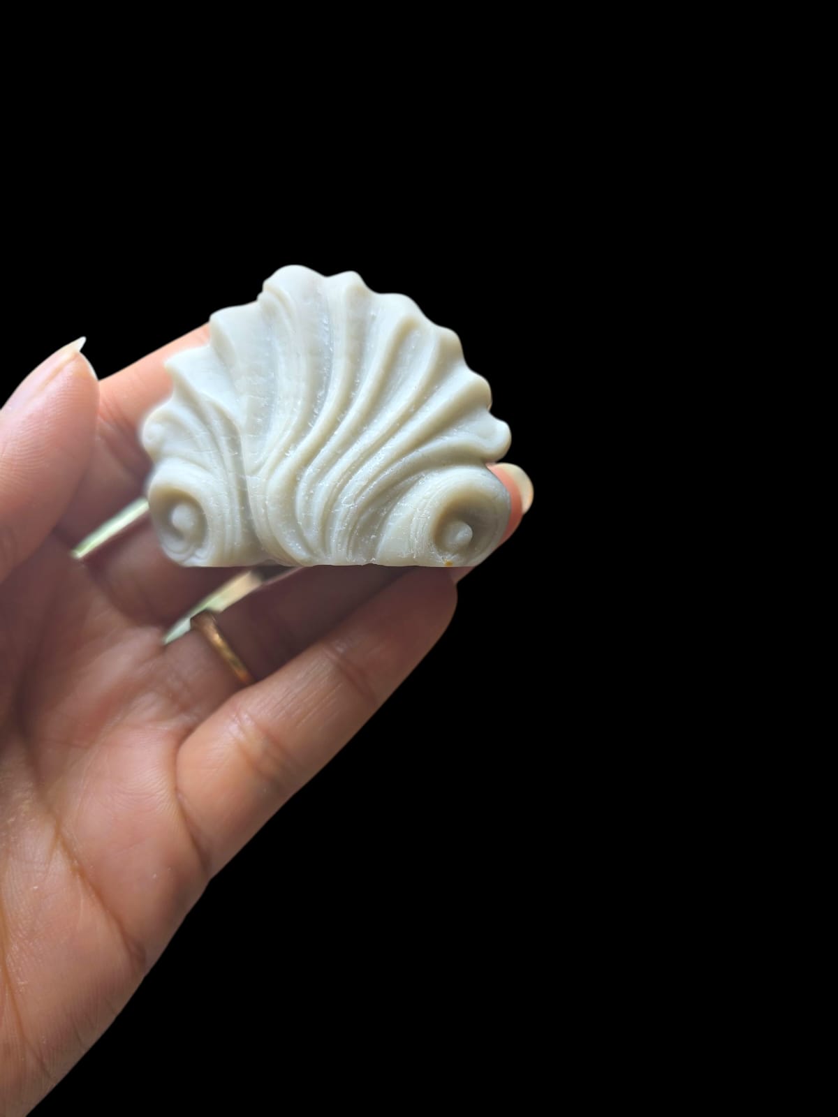 Little shell candle