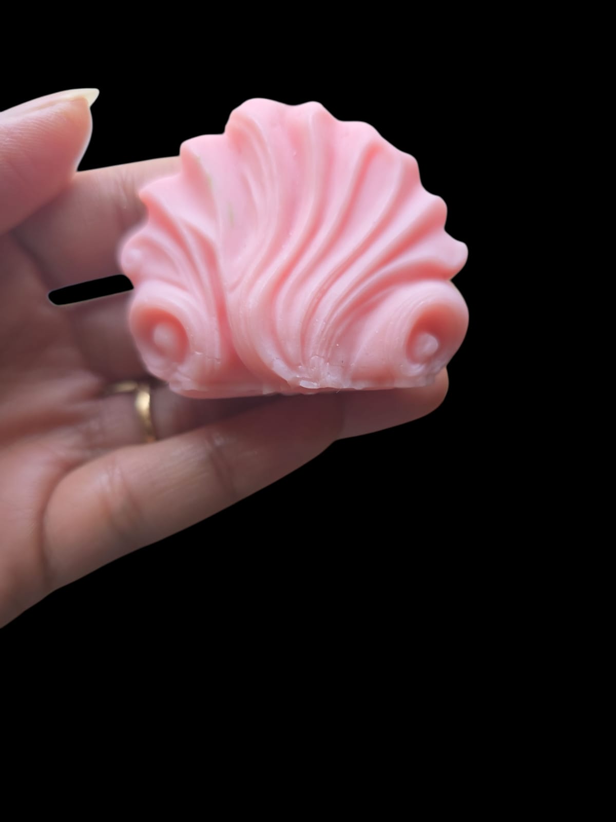 Little shell candle